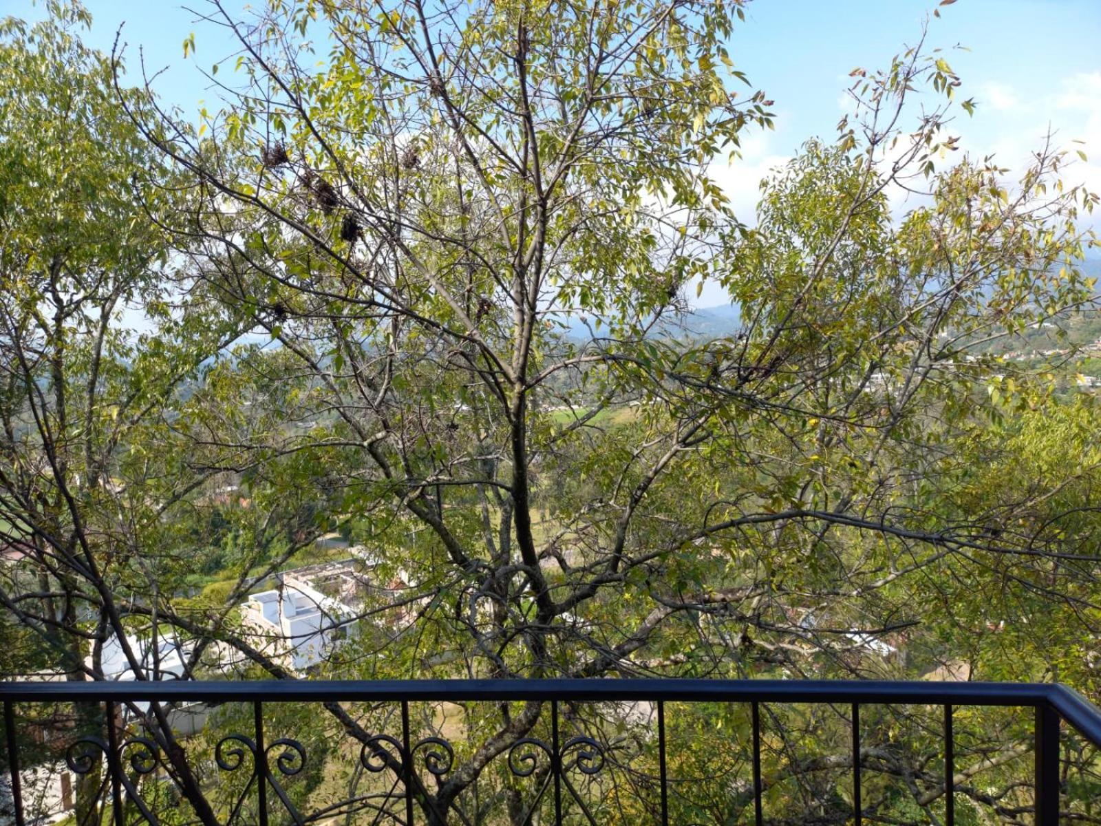 Solache Inn Zitácuaro Dış mekan fotoğraf