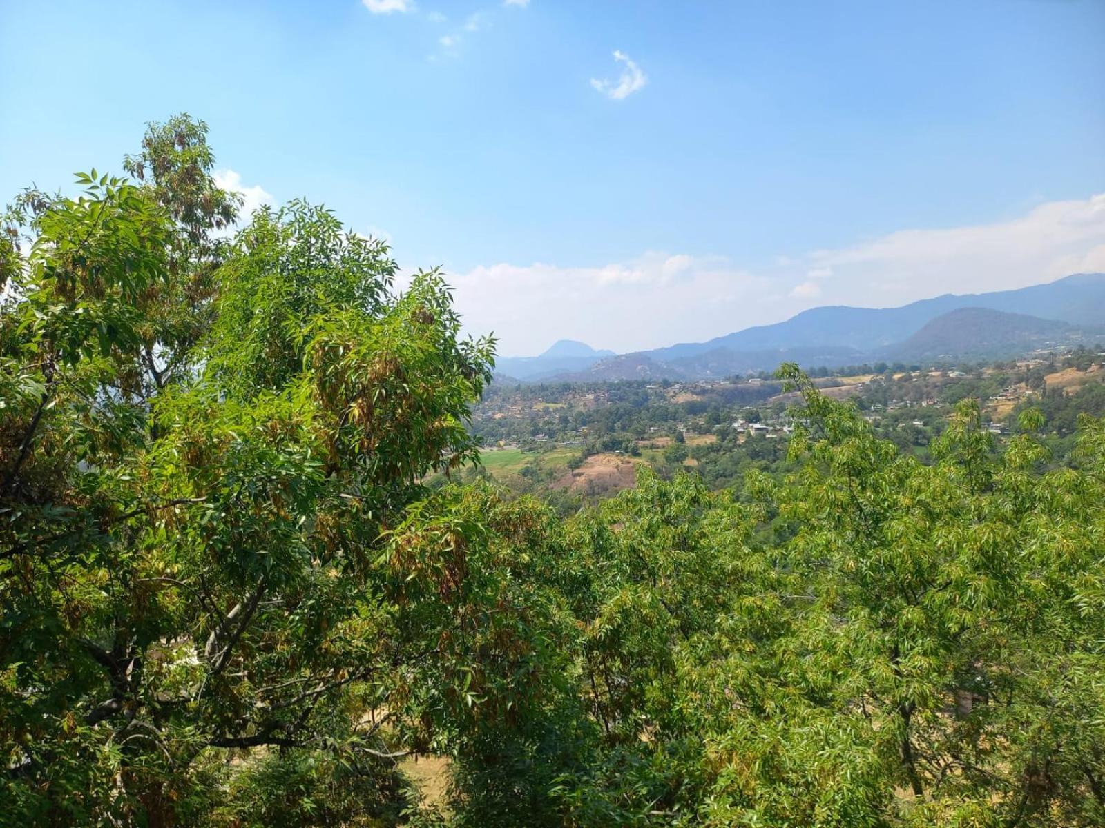 Solache Inn Zitácuaro Oda fotoğraf